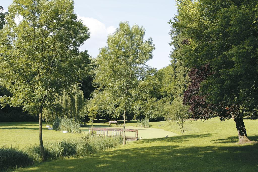 Logis Hotel - Restaurant Le Tulipier Vienne-le-Château Værelse billede